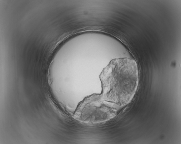 X0000115220253200912091227