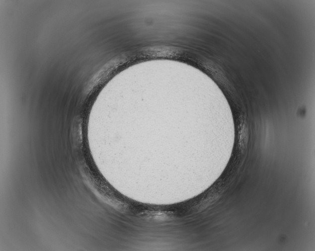 X0000115220254200912091227