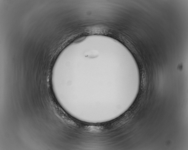 X0000115220255200912091227