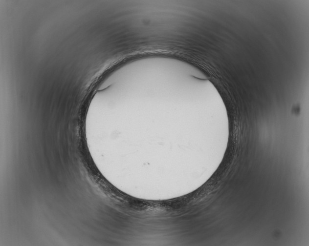 X0000115220256200912091227