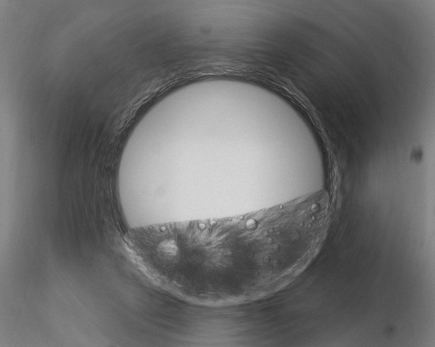 X0000115220257200912091227