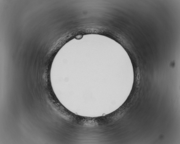 X0000115220258200912091227