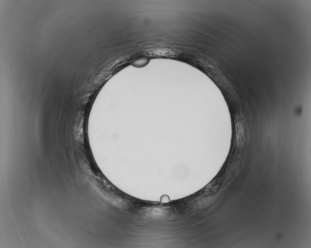 X0000115220259200912091227