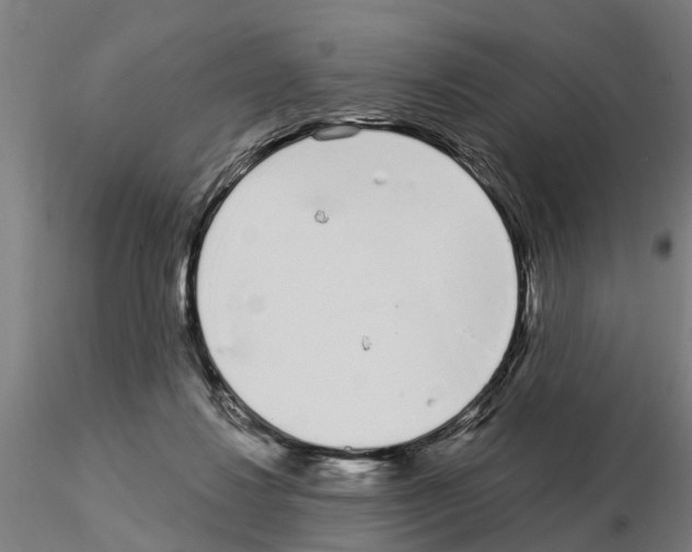 X0000115220260200912091228