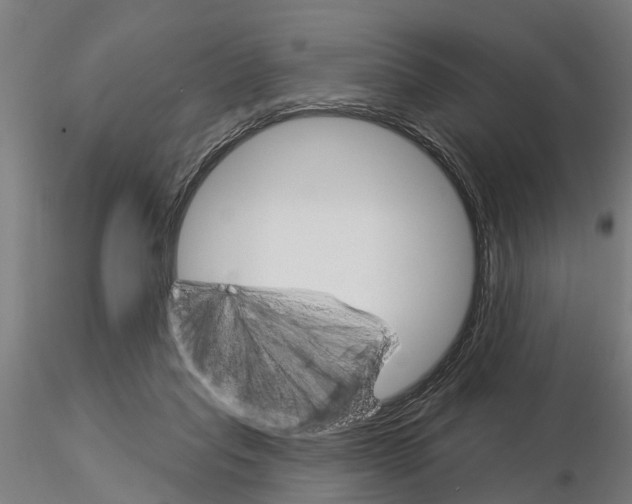 X0000115220261200912091228