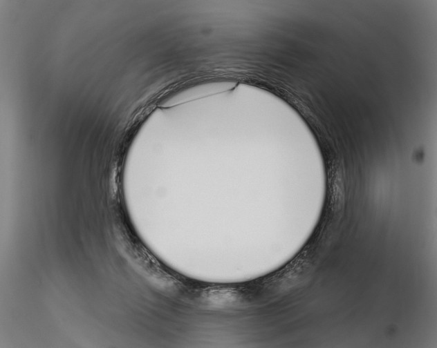 X0000115220262200912091228