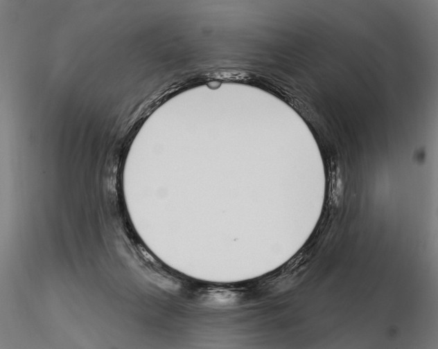 X0000115220263200912091228