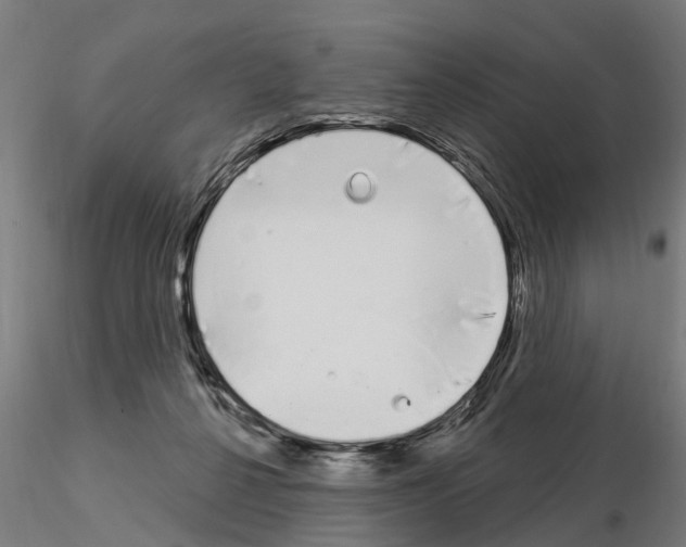 X0000115220264200912091228