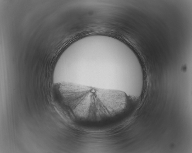 X0000115220265200912091228