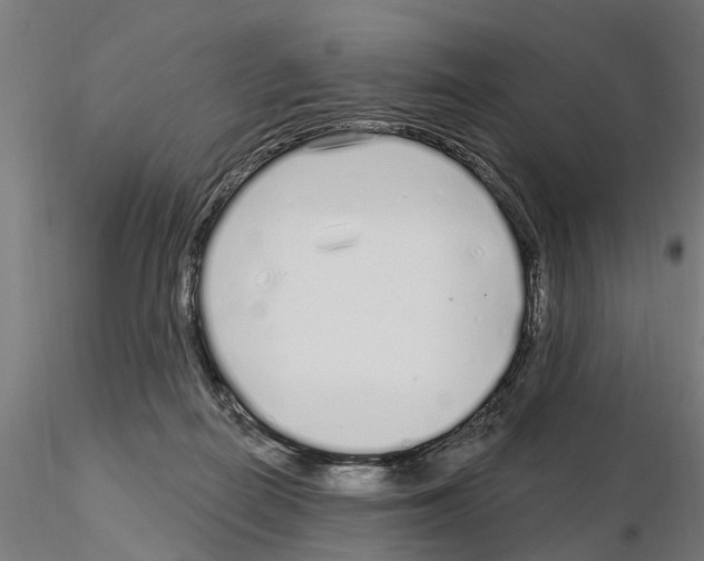 X0000115220266200912091228