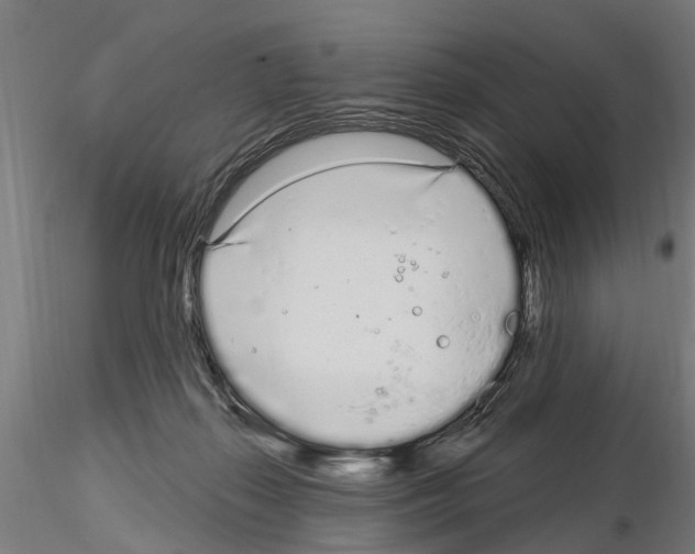 X0000115220267200912091228