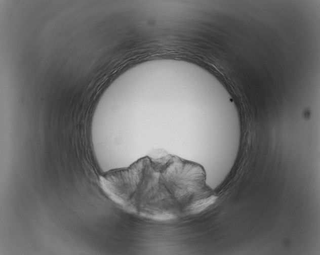 X0000115220269200912091228