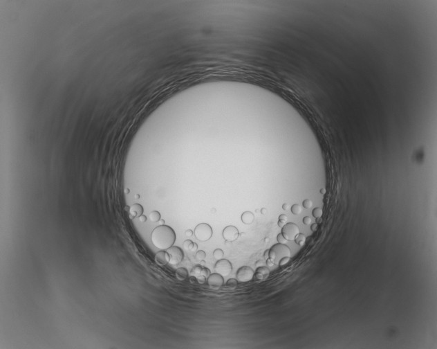 X0000115220273200912091228