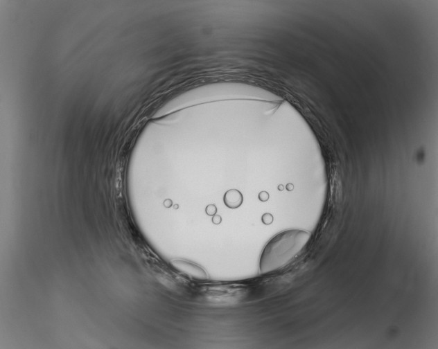 X0000115220274200912091228