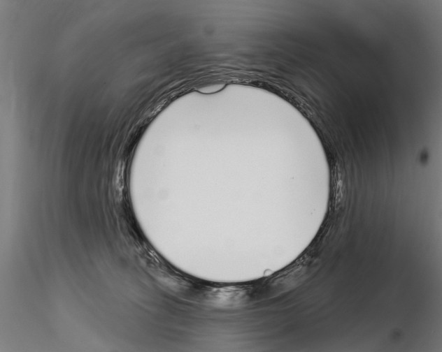 X0000115220275200912091228