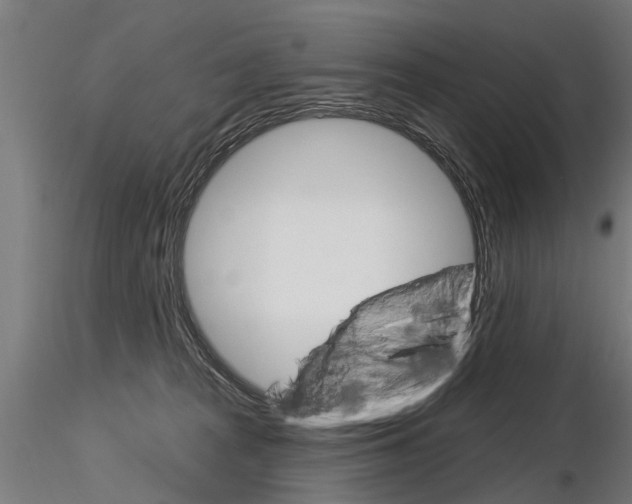 X0000115220277200912091228