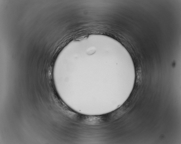 X0000115220278200912091228