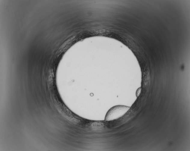 X0000115220279200912091228