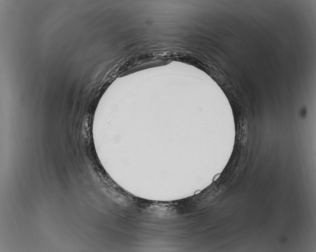 X0000115220280200912091228