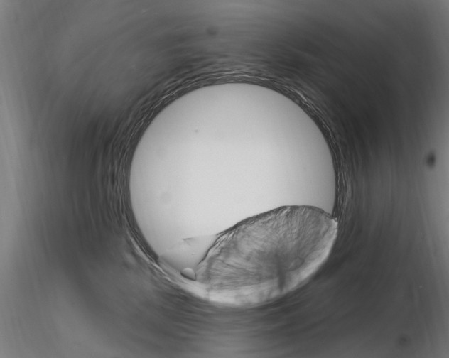 X0000115220281200912091228