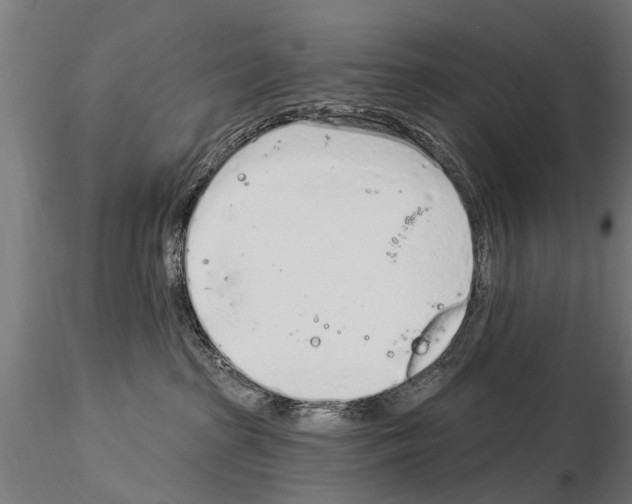 X0000115220285200912091228