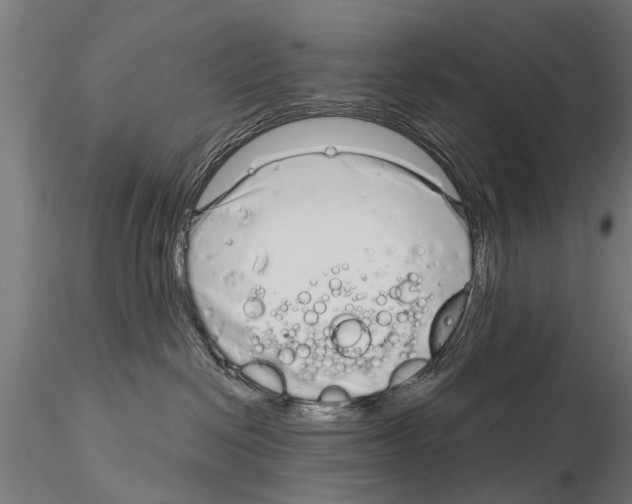 X0000115220286200912091228