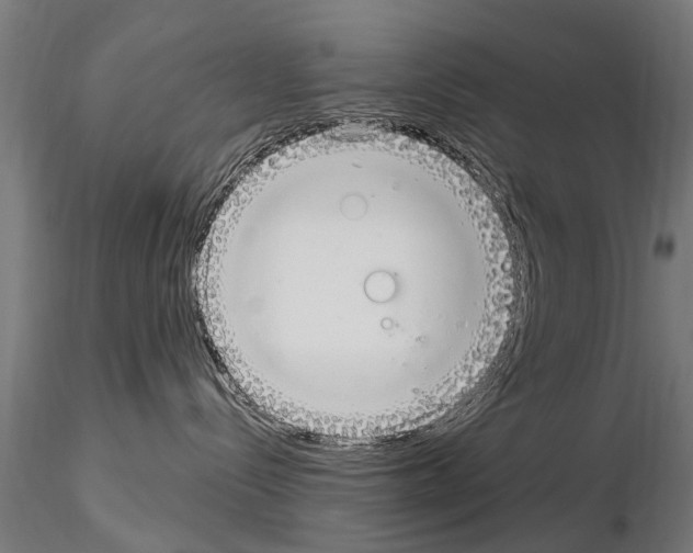 X0000115220288200912091228