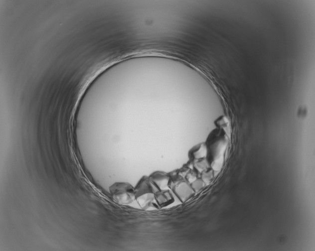 X0000115220289200912091227