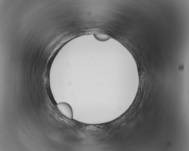 X0000115220290200912091227