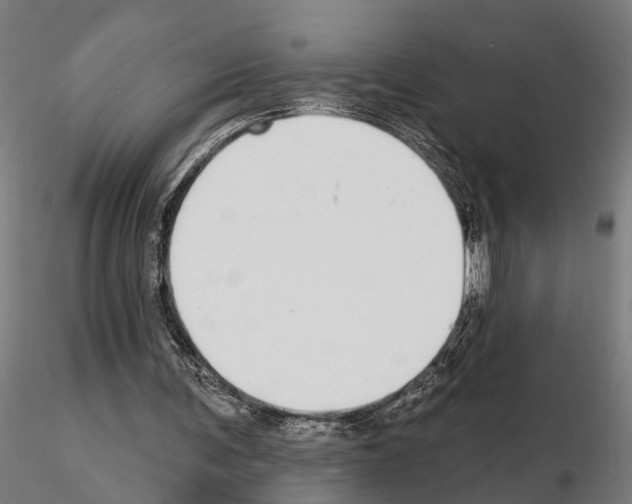 X0000115220291200912091227