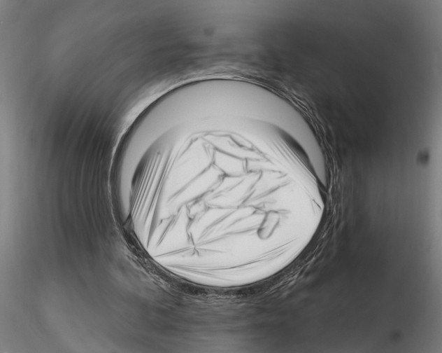 X0000115220292200912091227