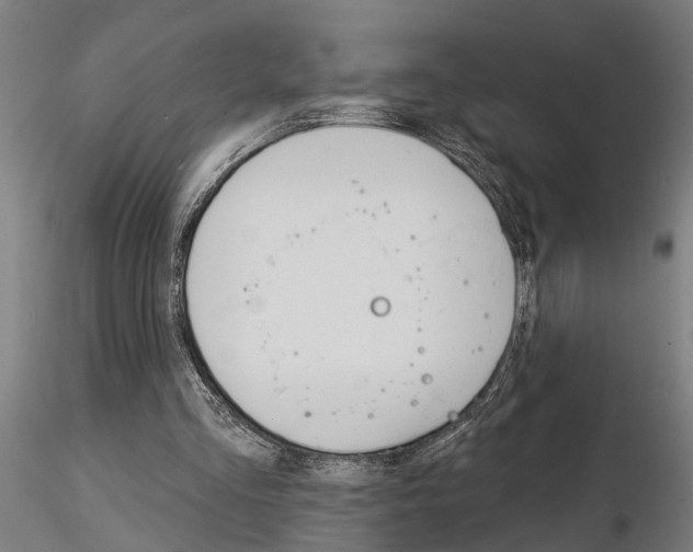 X0000115220293200912091227