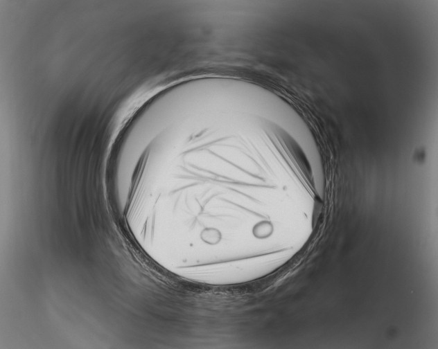 X0000115220294200912091227