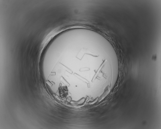 X0000115220296200912091227