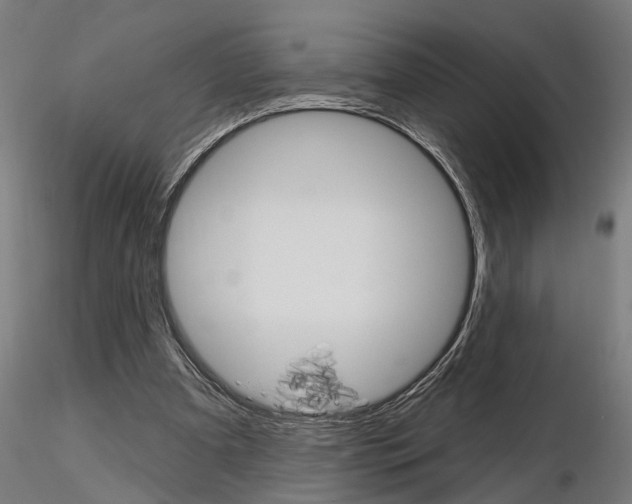 X0000115220297200912091227