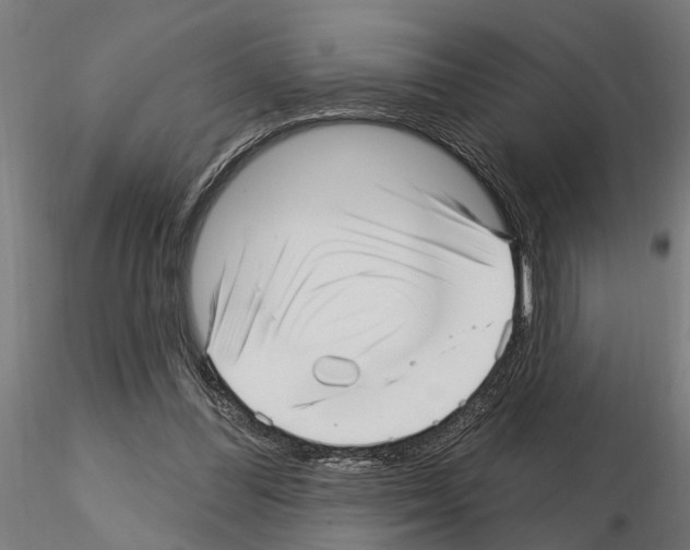 X0000115220300200912091227