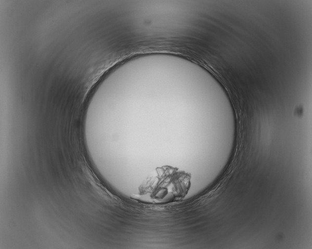 X0000115220301200912091227