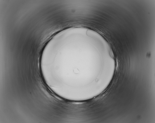 X0000115220302200912091227