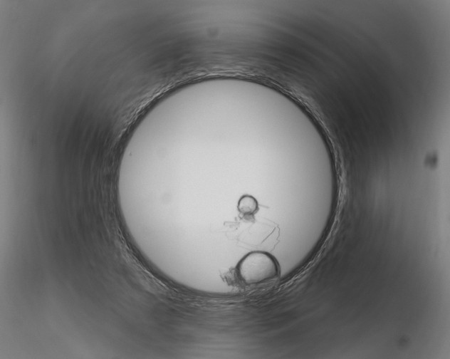 X0000115220305200912091227