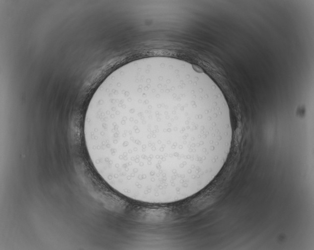 X0000115220306200912091227