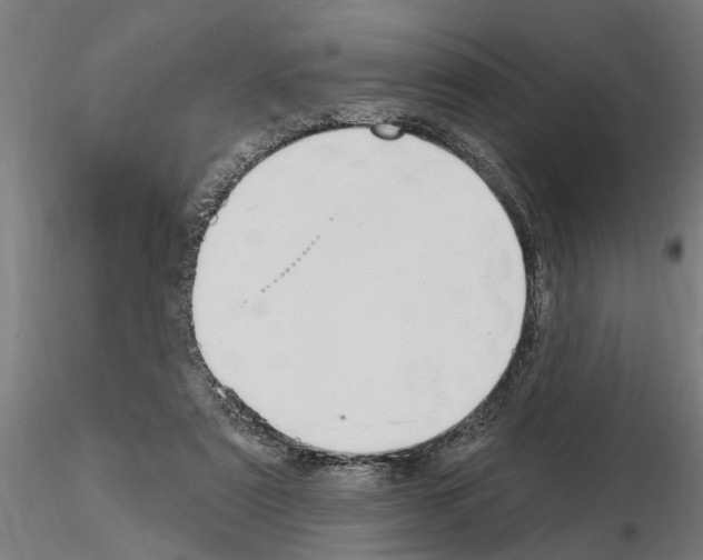 X0000115220307200912091227