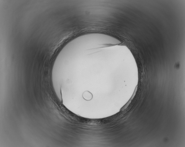 X0000115220308200912091227