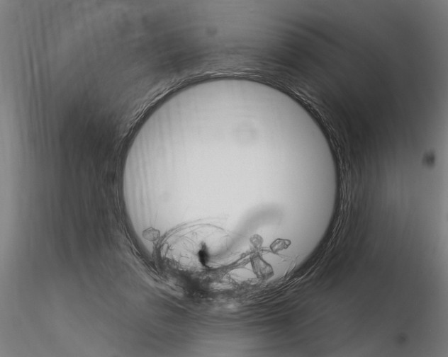 X0000115220309200912091227