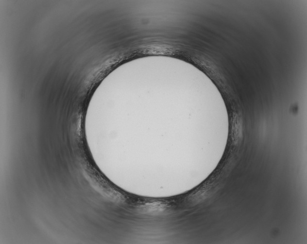 X0000115220310200912091227