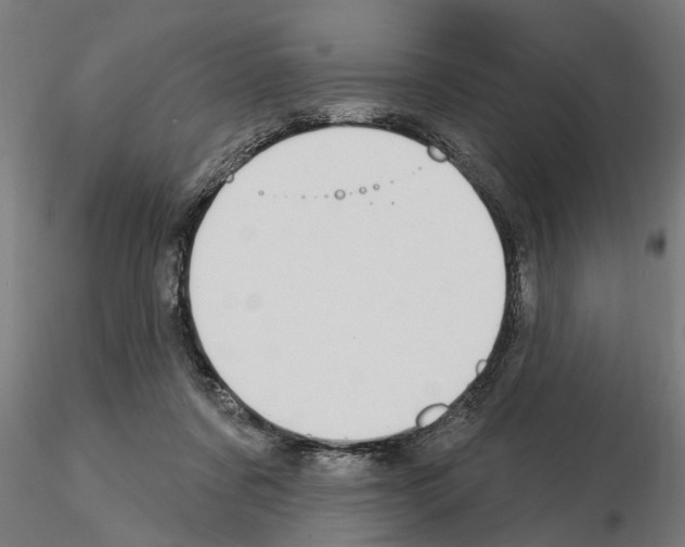 X0000115220311200912091227