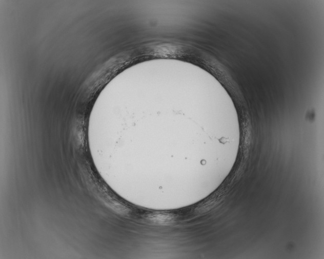 X0000115220313200912091227