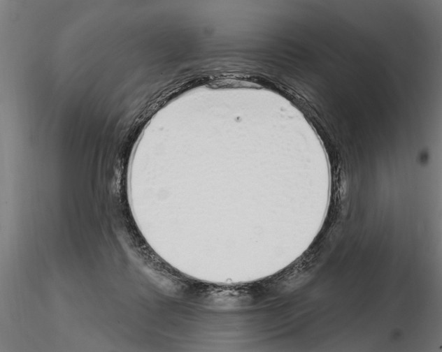 X0000115220315200912091227