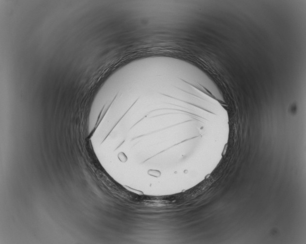 X0000115220316200912091227