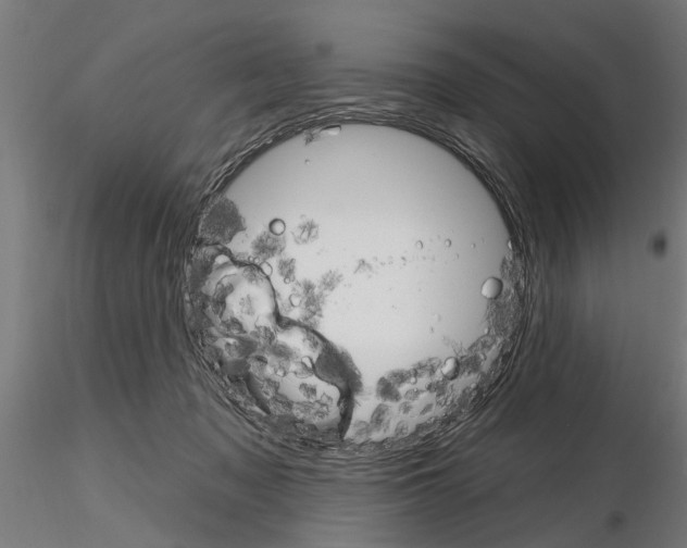 X0000115220317200912091227