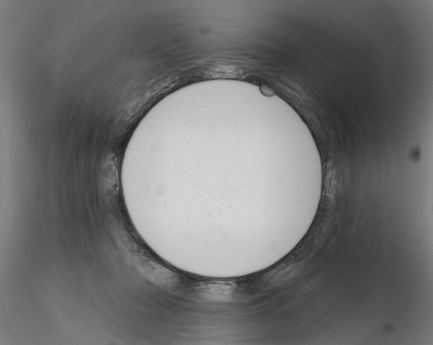 X0000115220318200912091227